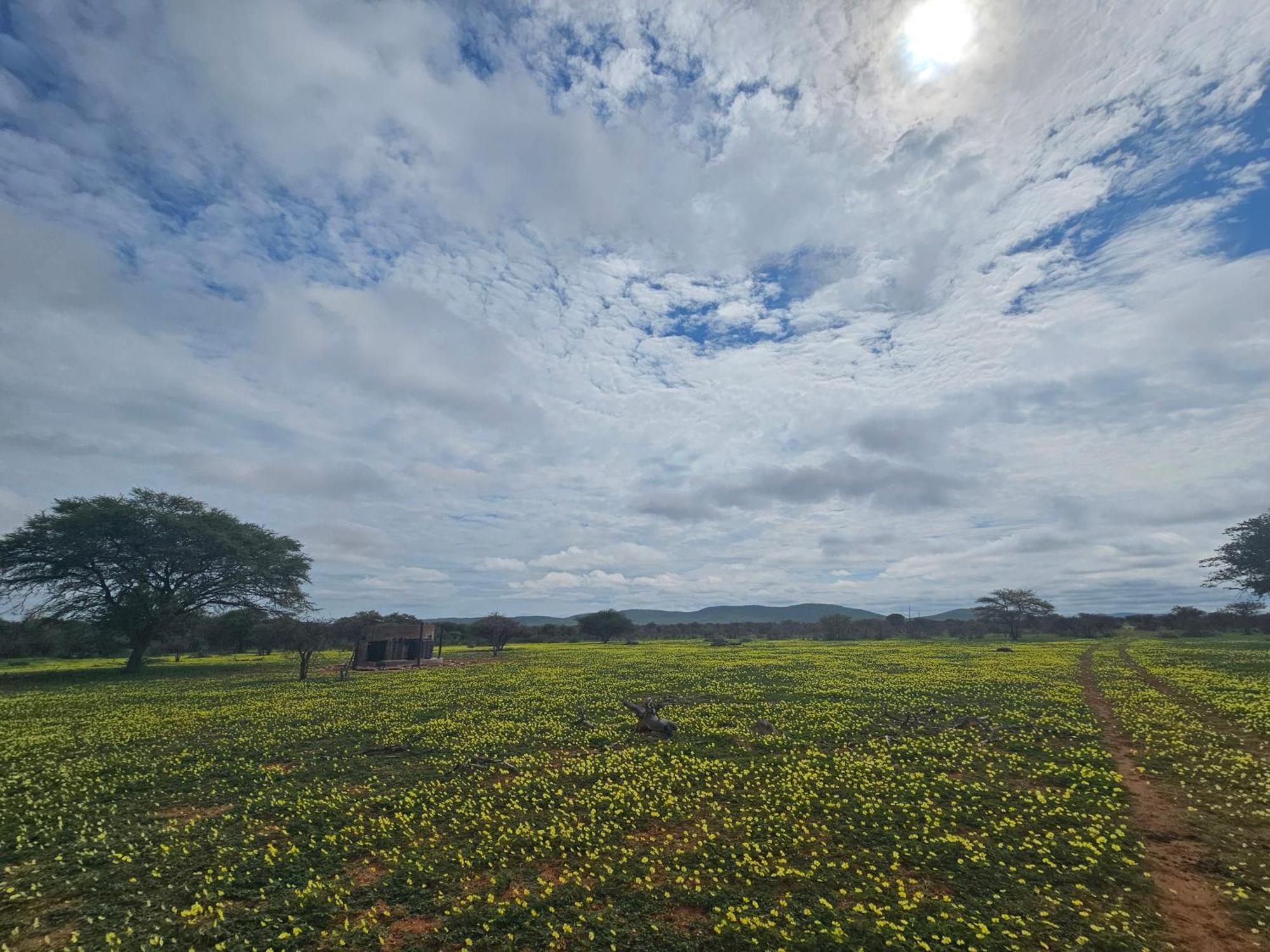 Kaoko Bush Lodge Kamanjab Buitenkant foto
